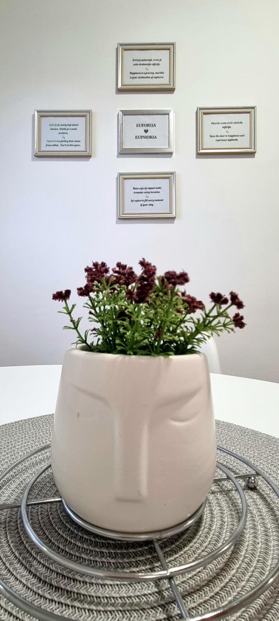 בלגרד Euforia Apartment מראה חיצוני תמונה