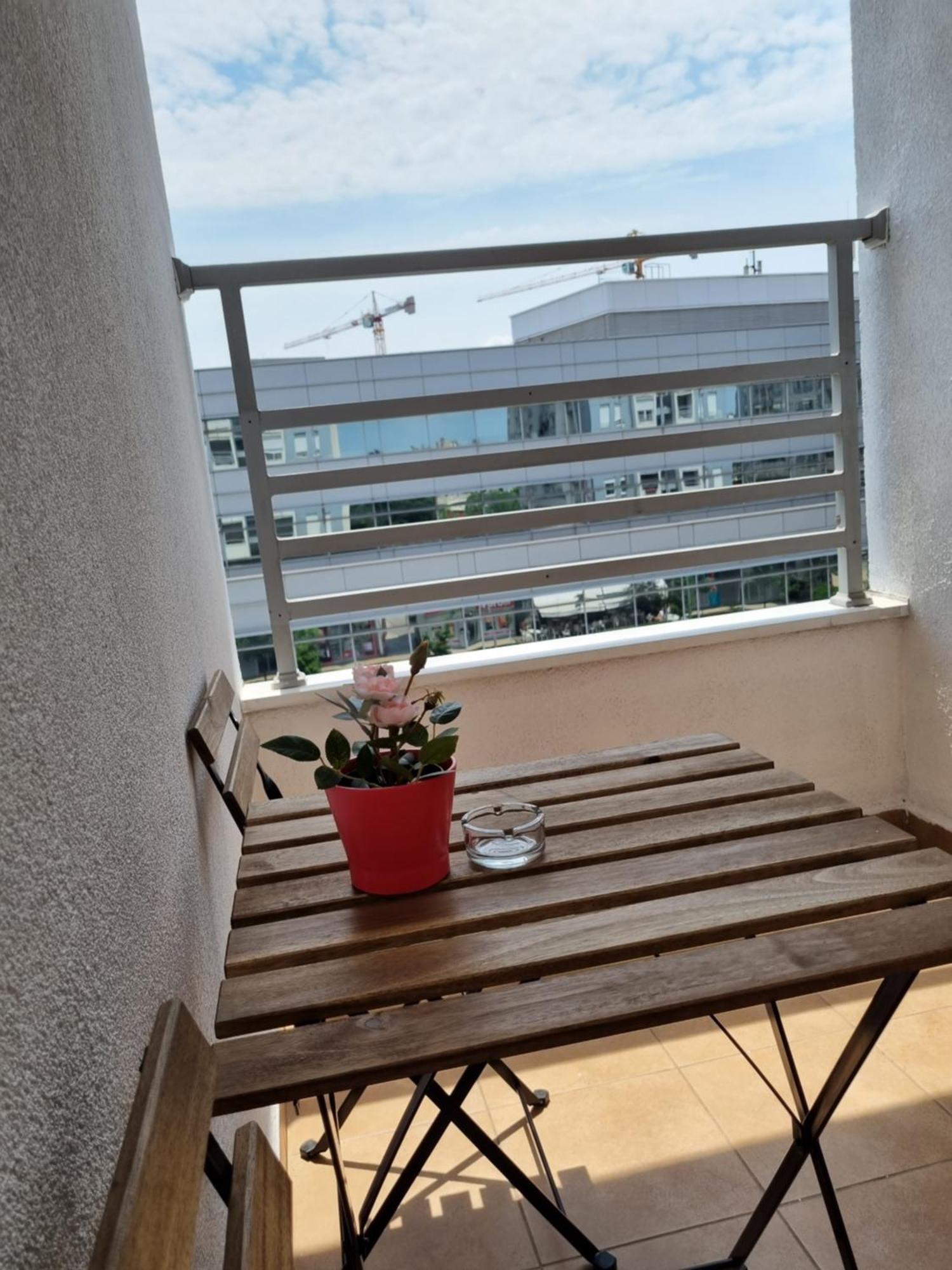 בלגרד Euforia Apartment מראה חיצוני תמונה